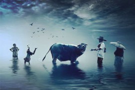 ভিক্লাব, একটি স্বনামধন্য অনলাইন ক্যাসিনো